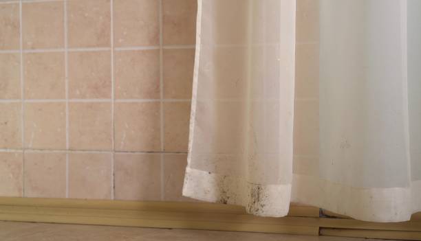 Best Biohazard Mold Removal  in South Greeley, WY