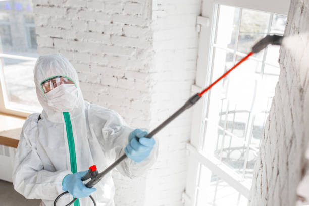 Best Mold Damage Restoration  in South Greeley, WY