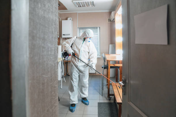 Best Mold Prevention Services  in South Greeley, WY
