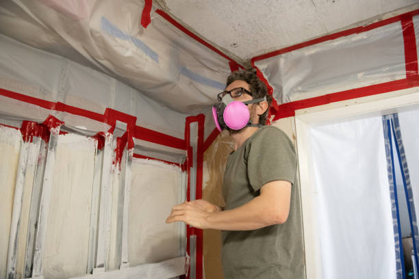 Best Emergency Mold Remediation  in South Greeley, WY