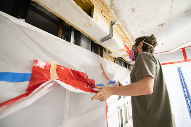 Best Environmental Consulting for Mold Prevention  in South Greeley, WY