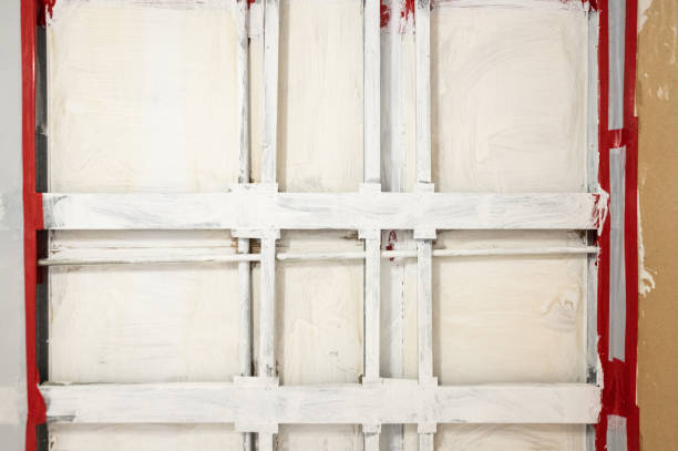 Best Mold Odor Removal Services  in South Greeley, WY