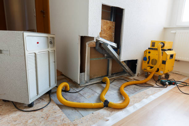 Best Airborne Mold Testing  in South Greeley, WY