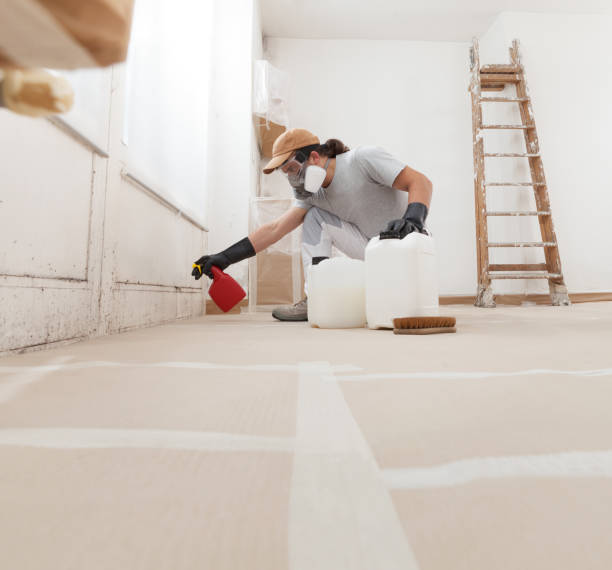 Best Real Estate Mold Inspection  in South Greeley, WY