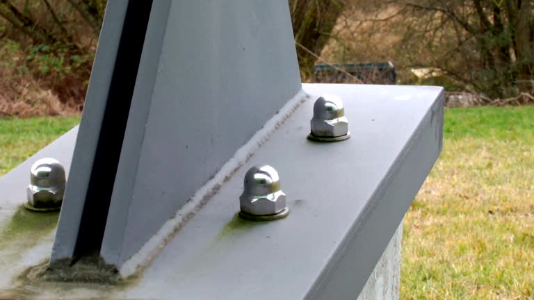 Best Industrial Mold Remediation  in South Greeley, WY